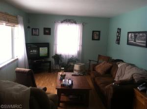 1004 Hunt St, Lyons, MI 48851 photo 8