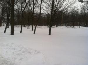 1004 Hunt St, Lyons, MI 48851 photo 18