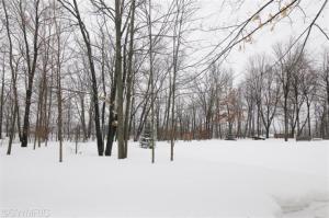 8675 N 46th St, Augusta, MI 49012 photo 23