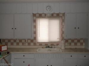 229 E State St, Mendon, MI 49072 photo 9