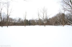 14770 Ef Ave, Augusta, MI 49012 photo 13