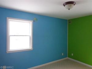 513 Vincent St, Belding, MI 48809 photo 18
