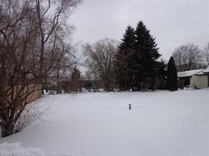 513 Vincent St, Belding, MI 48809 photo 4