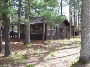 4666 N Able Rd, Irons, MI 49644 photo 1