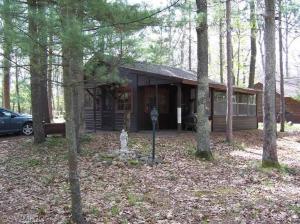 4666 N Able Rd, Irons, MI 49644 photo 4