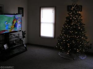 213 W Ctr, Belding, MI 48809 photo 9