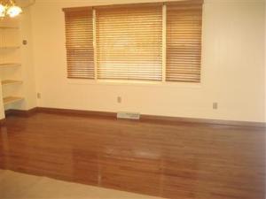 6 E Beech St, Three Oaks, MI 49128 photo 18