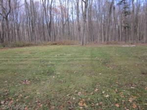 2199 E Butler Rd, Dowling, MI 49050 photo 11
