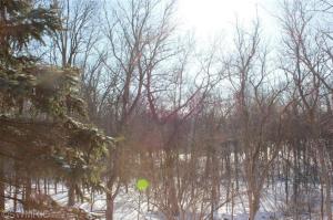 683 Mccabe Ave NE, Ada, MI 49301 photo 14