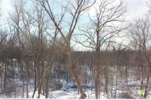 683 Mccabe Ave NE, Ada, MI 49301 photo 13