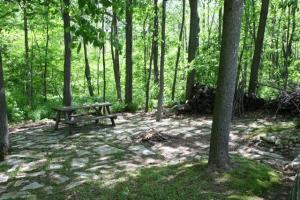 124 Peter Pan Ln, Marshall, MI 49068 photo 4