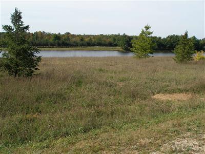 11623 Port Stewart Dr #6, Canadian Lakes, MI 49346