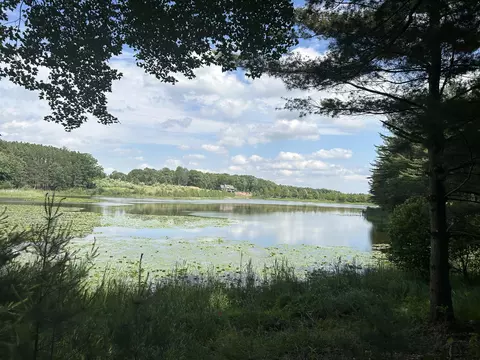6980 Bantry Bay Ct #7, Canadian Lakes, MI 49346