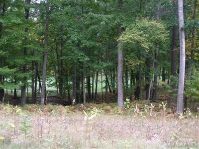 9615 Aberdeen Ct #29, Canadian Lakes, MI 49346