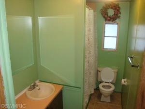 8836 River Rd, Evart, MI 49631 photo 16
