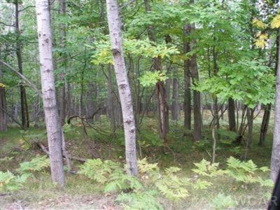 9692 Golf Port Dr #216, Canadian Lakes, MI 49346