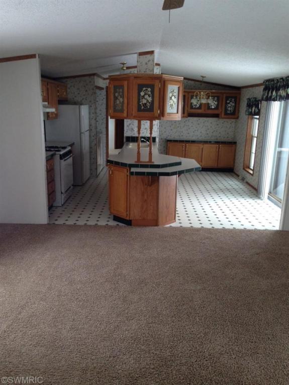4062 E Shore Dr, Stanton, MI 48888 photo 5