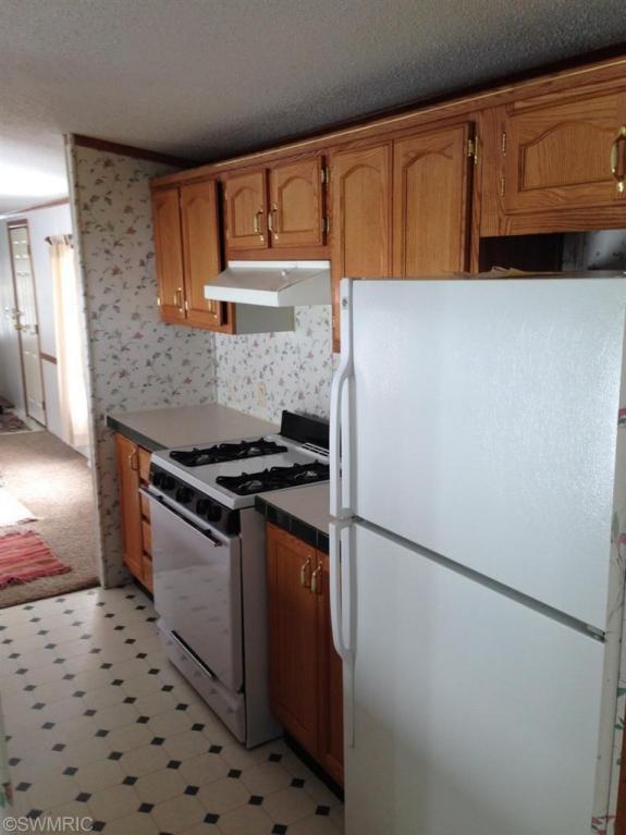4062 E Shore Dr, Stanton, MI 48888 photo 7