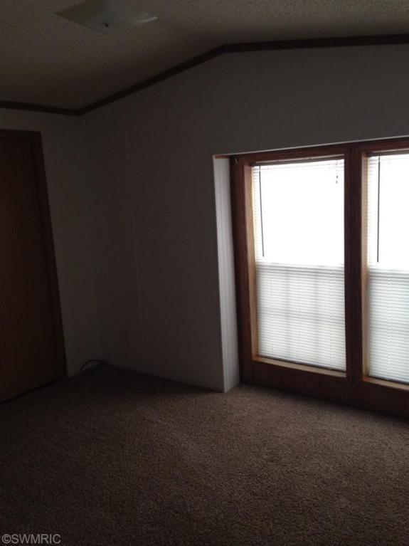 4062 E Shore Dr, Stanton, MI 48888 photo 10