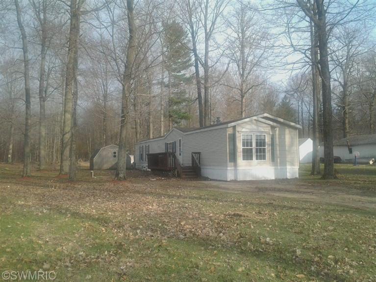 4062 E Shore Dr, Stanton, MI 48888 photo 3