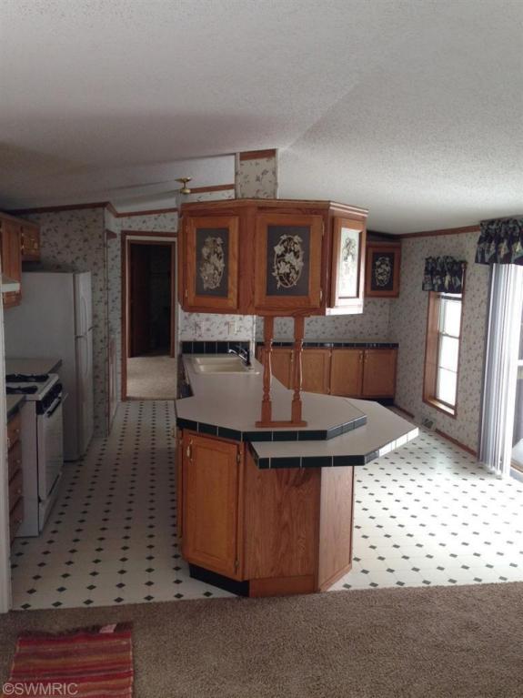 4062 E Shore Dr, Stanton, MI 48888 photo 9