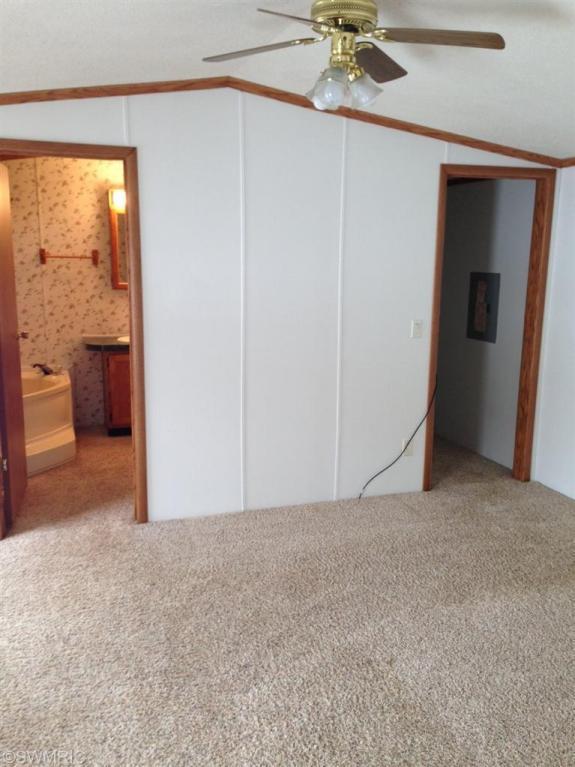 4062 E Shore Dr, Stanton, MI 48888 photo 13