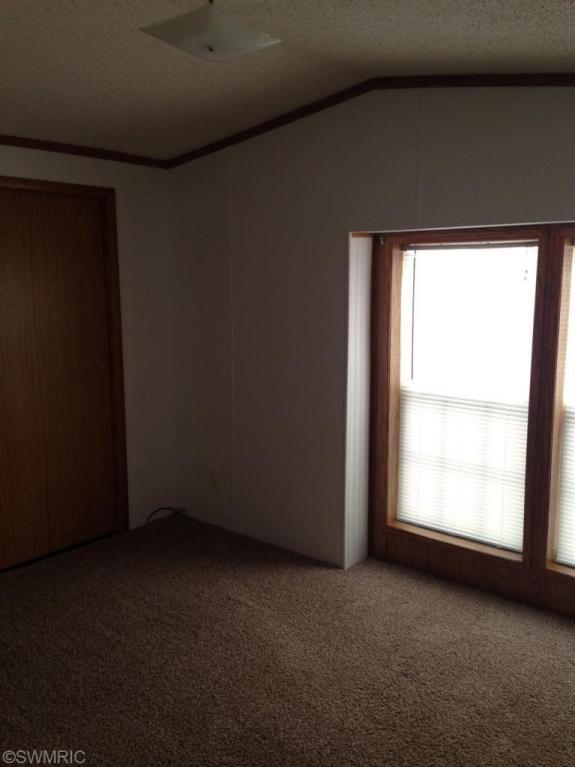 4062 E Shore Dr, Stanton, MI 48888 photo 11