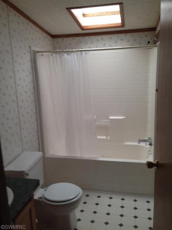 4062 E Shore Dr, Stanton, MI 48888 photo 12