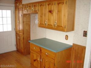 117 S Andrews St, Three Rivers, MI 49093 photo 7