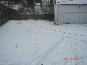 117 S Andrews St, Three Rivers, MI 49093 photo 20