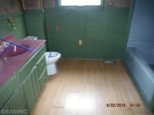 317 Seventh Ave, Three Rivers, MI 49093 photo 7