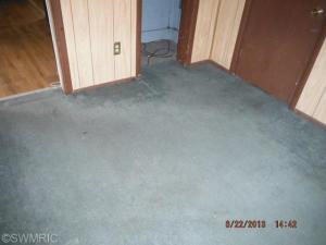 317 Seventh Ave, Three Rivers, MI 49093 photo 10