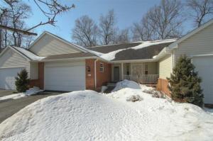 129 Chauncey Ct, Marshall, MI 49068 photo 23