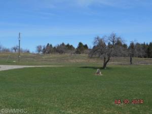 2794 E Wilson Rd, Custer, MI 49405 photo 22