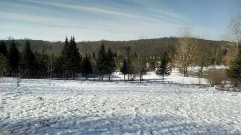 1973 N Luce Ave, White Cloud, MI 49349 photo 1