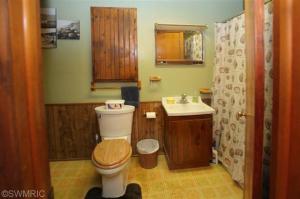 701 Cedar Lk, Marshall, MI 49068 photo 12
