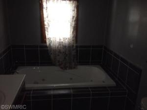 830 Hunt St, Lyons, MI 48851 photo 6
