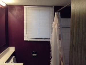 830 Hunt St, Lyons, MI 48851 photo 5