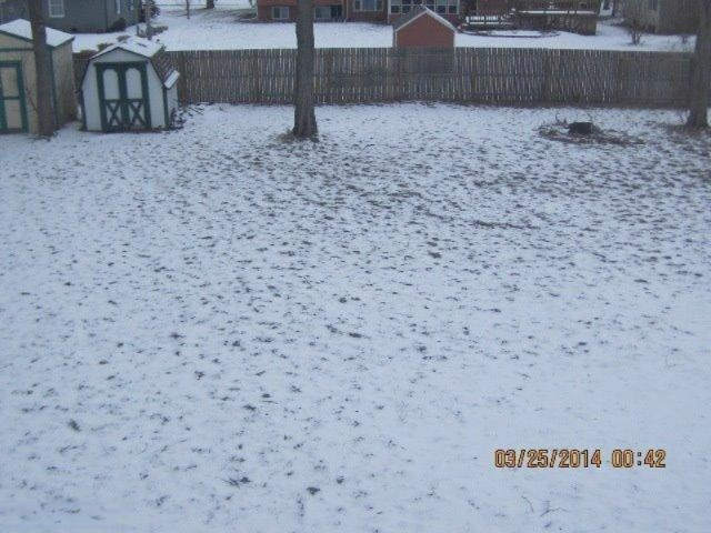 820 E Park Dr, Niles, MI 49120 photo 10