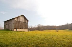 1978 Glendora Rd, Buchanan, MI 49107 photo 4