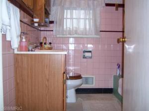 314 E Congress St, Belding, MI 48809 photo 9