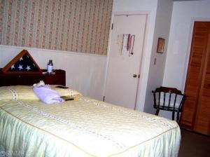 314 E Congress St, Belding, MI 48809 photo 10