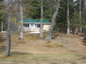 876 W Oak St, Bitely, MI 49309 photo 3