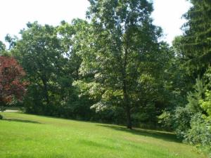 3373 E Stage Rd, Ionia, MI 48846 photo 14