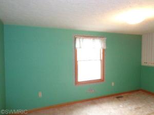 152 John, Lyons, MI 48851 photo 13