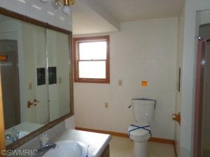 152 John, Lyons, MI 48851 photo 8