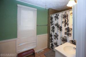 168 E Washington St, Newaygo, MI 49337 photo 21