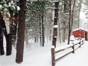 3110 S Walnut Ave, White Cloud, MI 49349 photo 23