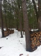 3110 S Walnut Ave, White Cloud, MI 49349 photo 19