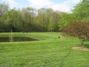2986 County Line Rd SE, Sumner, MI 48889 photo 5